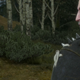 Illustration for article titled A Beginner’s Guide To The World Of iThe/i iWitcher/i